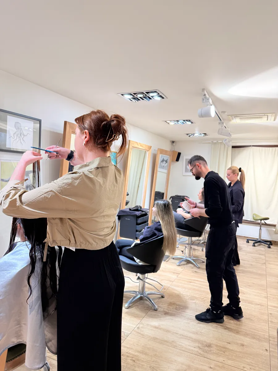 Lucrare salon 139